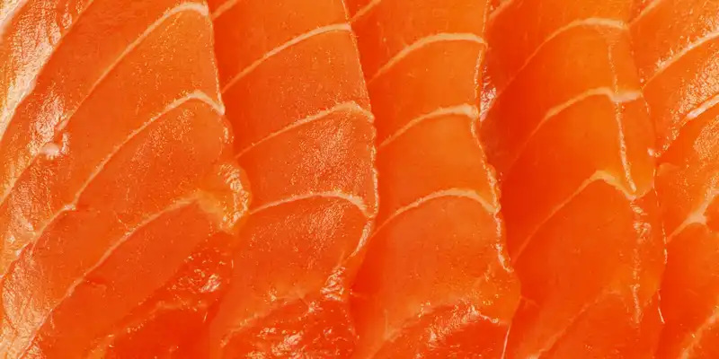 Salmone atlantico d'allevamento crudo