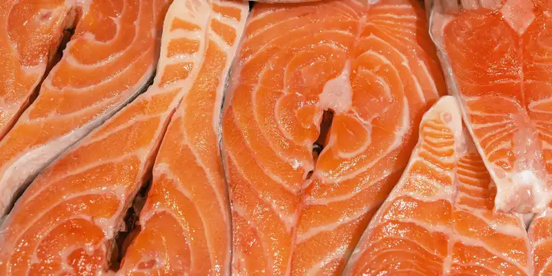 Salmón plateado