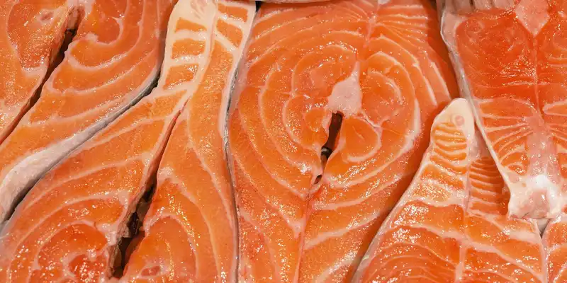 Raw farmed coho salmon