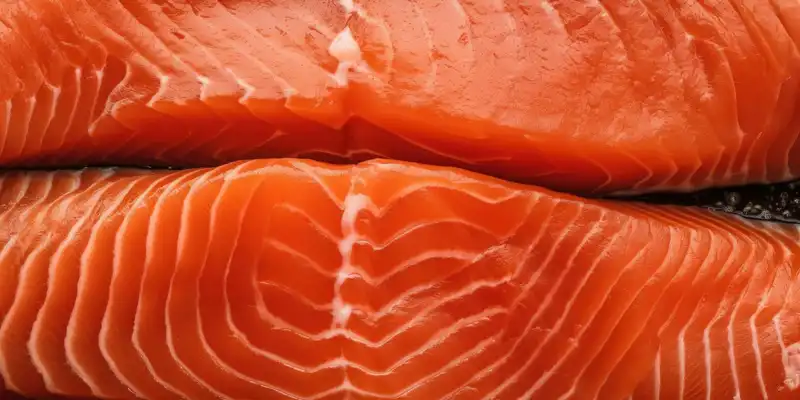 Saumon rouge (sockeye)