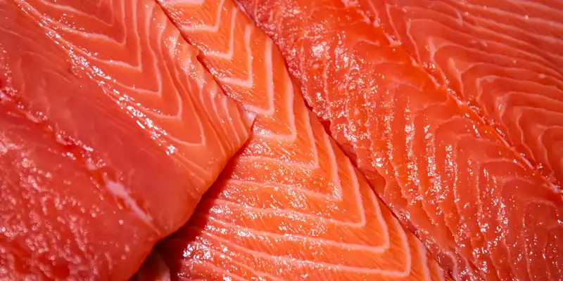 Farmed salmon