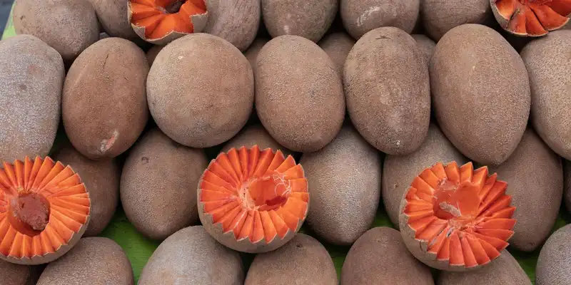 Raw mamey sapote