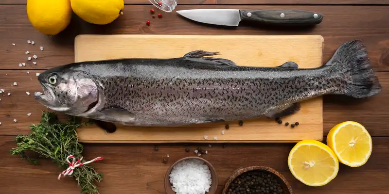 Raw seatrout