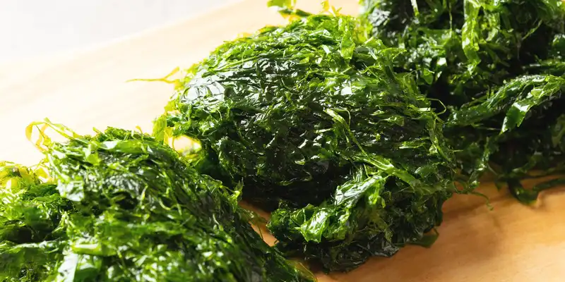 Raw laver seaweed