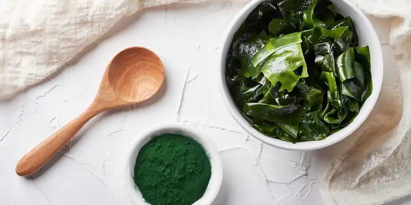 Spiruline algues séchées