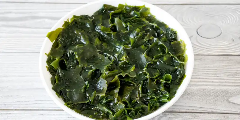 Raw wakame seaweed