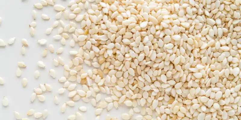 Sesame seed kernels