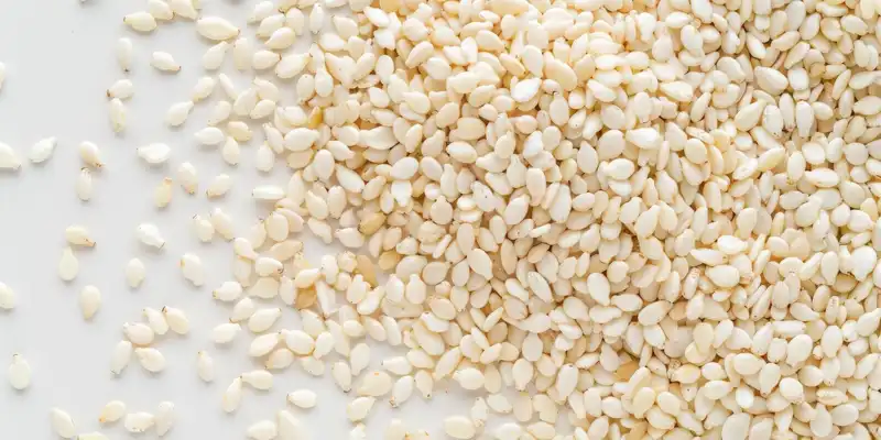 Dried sesame seed kernels