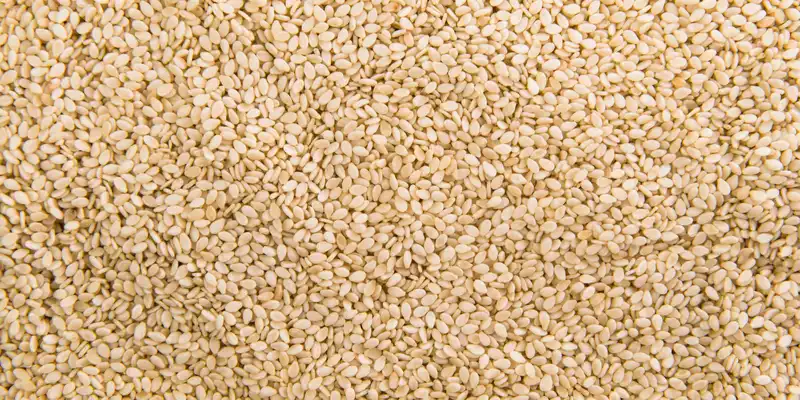 Grains de graines de sésame (sans sel)