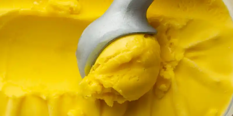 Sorbet à l'orange