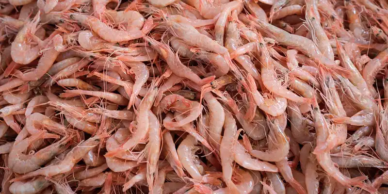 Gambas (camarón)