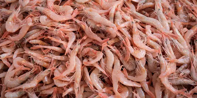 Raw shrimp