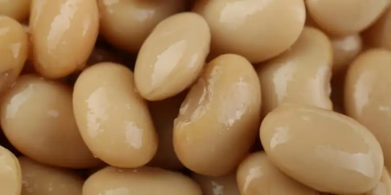 Boiled small white beans (with salt)