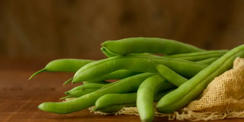 Judías verdes verdes crudas