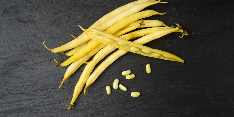 Raw yellow snap beans