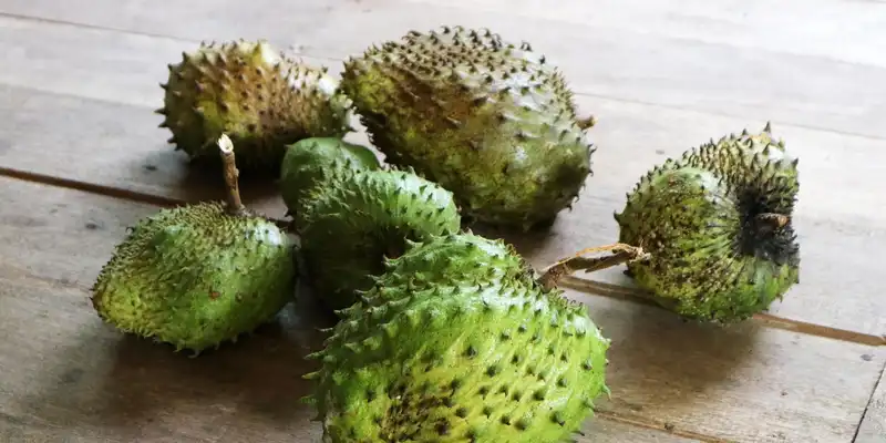 Soursop