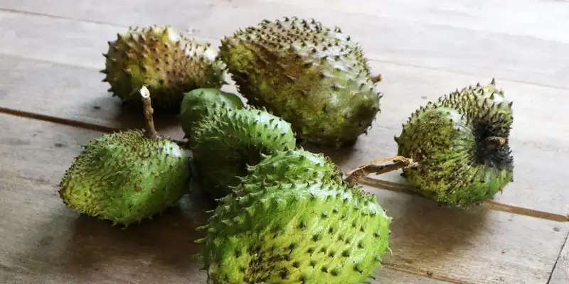 Soursop roh