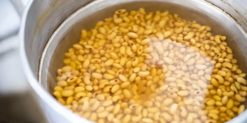 Boiled soybeans (with salt)