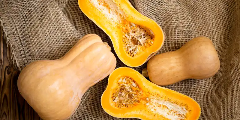 Winter butternut squash (with salt)