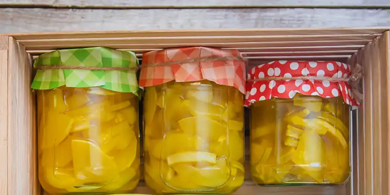 Courge à cou droit et à cou crochu d'été en conserve