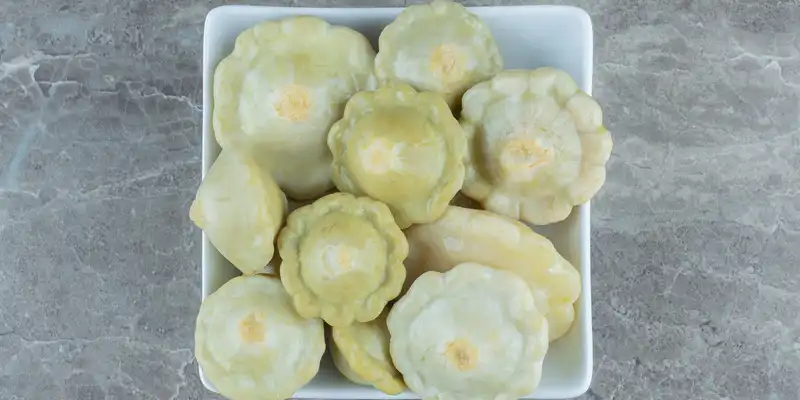 Boiled summer scallop squash (with salt)