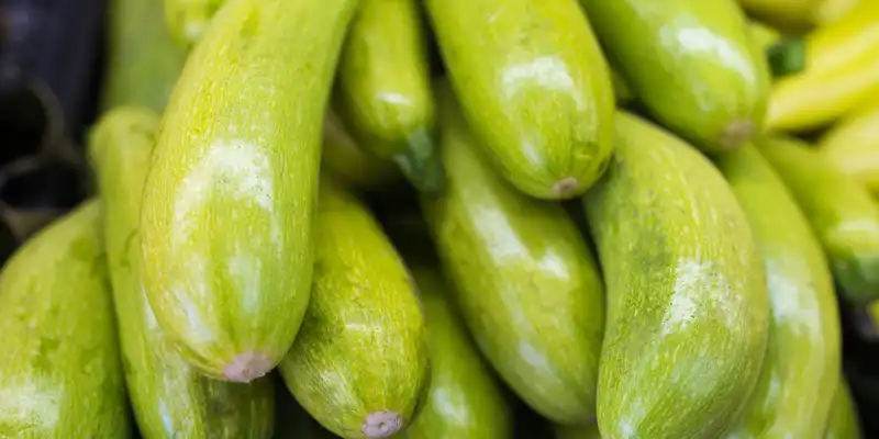 Raw zucchini