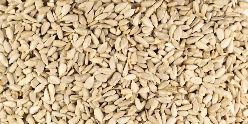 Sunflower seed kernels