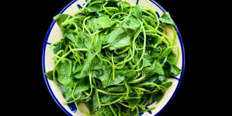 Steamed sweet potato leaves (with salt)