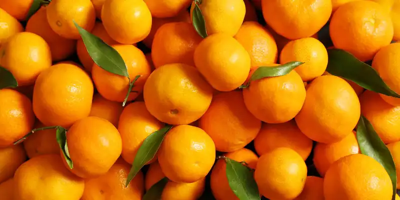 Tangerine (mandarine)