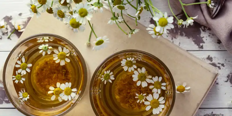 Thé aux herbes (tisane) à la camomille