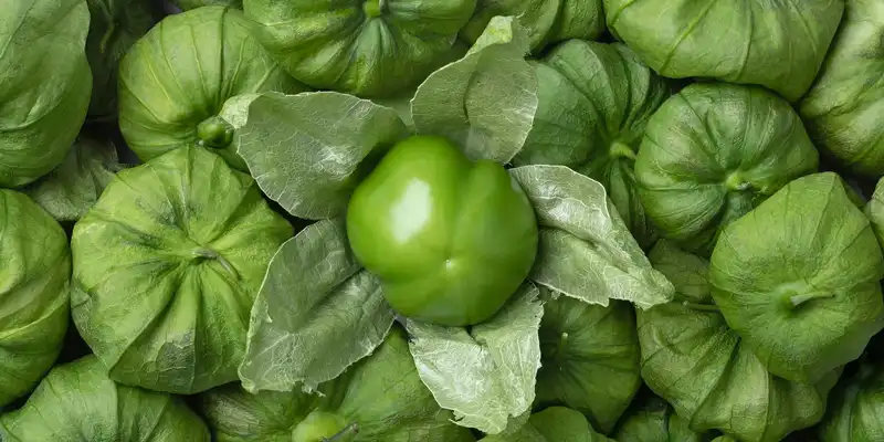 Tomatillos roh