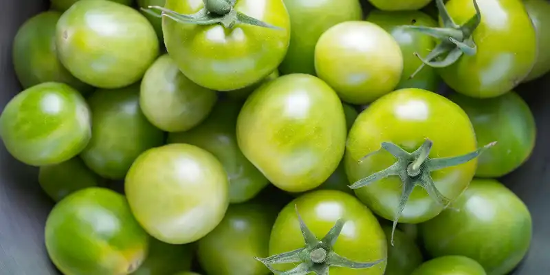 Raw green tomatos