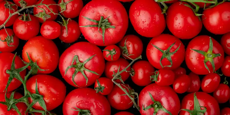 Tomates rouges (without-salt)