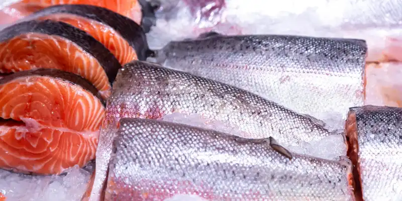 Raw farmed rainbow trout