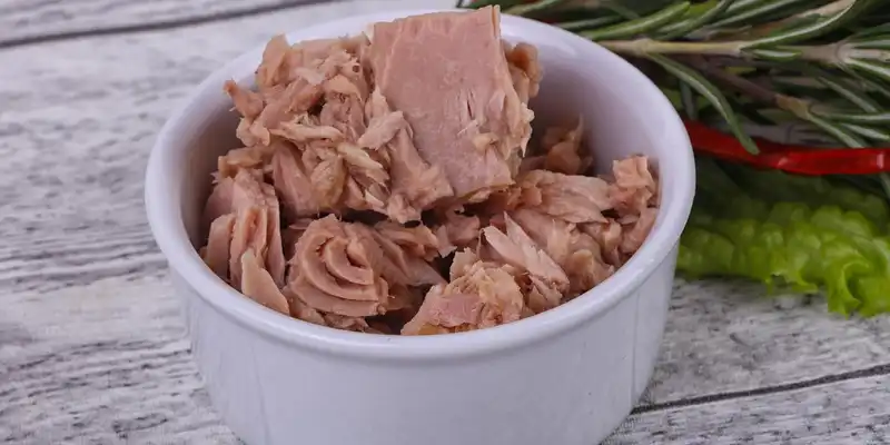 Atún blanco (escolar) en agua en conserva