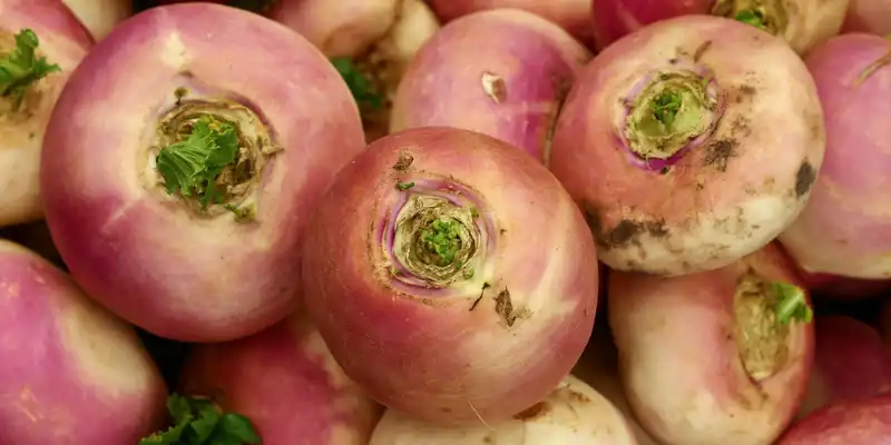 Turnips