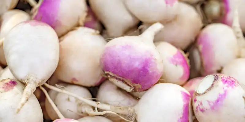 Turnips (with salt)