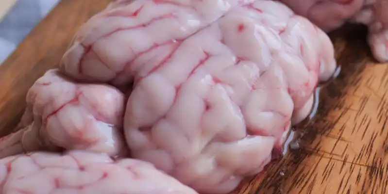 Veal brain