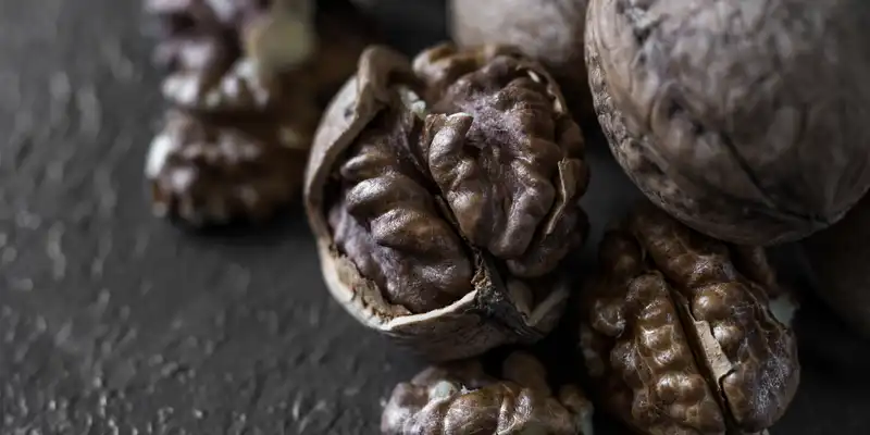 Dried black walnuts