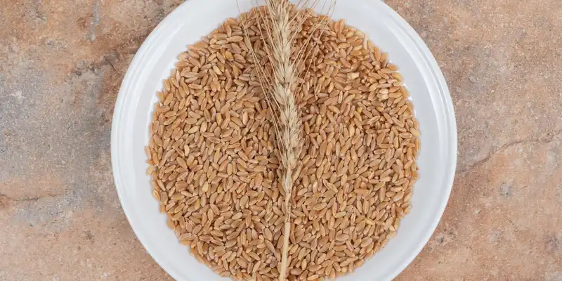 Wheat