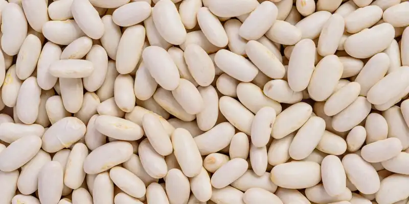 White beans