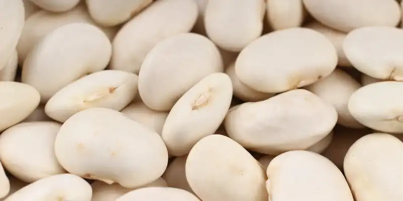 White beans (with salt)