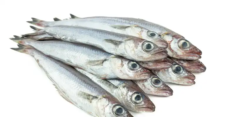 Raw whiting