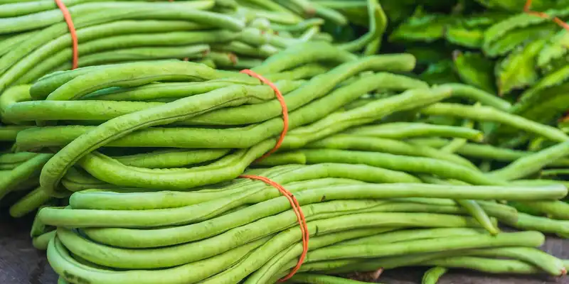 Yardlong-BohneSpargelbohne (Yardlong Bean) roh