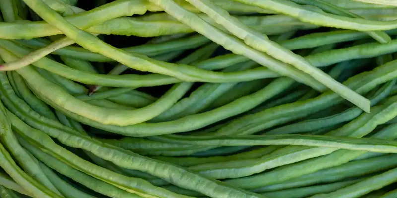 Yardlong bean (with salt)